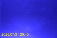 Img20260731_204025.jpg