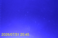 Img20260731_204525.jpg