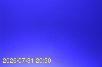 Img20260731_205025.jpg