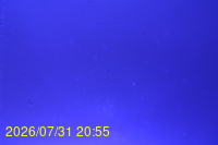 Img20260731_205525.jpg