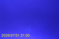 Img20260731_210025.jpg