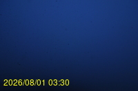 Img20260801_033026.jpg