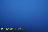 Img20260801_033527.jpg