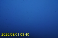 Img20260801_034026.jpg