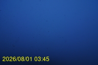 Img20260801_034527.jpg