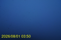 Img20260801_035027.jpg