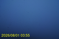 Img20260801_035527.jpg