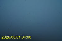 Img20260801_040027.jpg