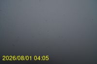 Img20260801_040527.jpg