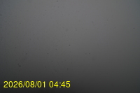 Img20260801_044527.jpg
