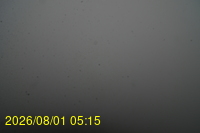 Img20260801_051527.jpg