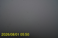 Img20260801_055027.jpg