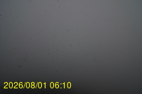 Img20260801_061027.jpg