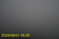 Img20260801_063527.jpg