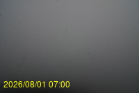 Img20260801_070027.jpg