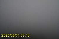 Img20260801_071527.jpg