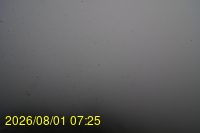 Img20260801_072527.jpg