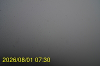 Img20260801_073027.jpg