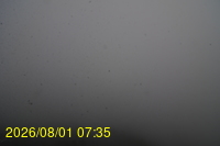 Img20260801_073527.jpg