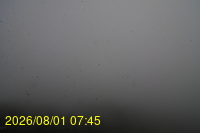 Img20260801_074527.jpg