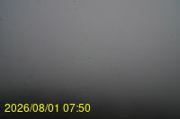 Img20260801_075027.jpg