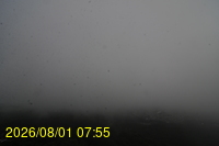 Img20260801_075527.jpg