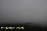 Img20260801_093028.jpg