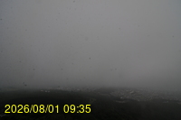 Img20260801_093528.jpg
