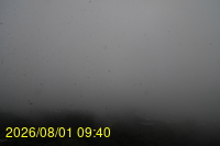 Img20260801_094028.jpg