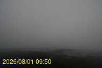 Img20260801_095028.jpg