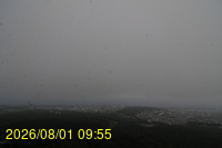 Img20260801_095528.jpg