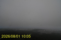 Img20260801_100528.jpg