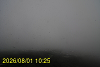 Img20260801_102528.jpg