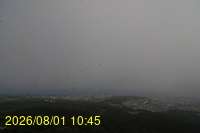 Img20260801_104528.jpg