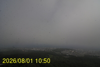 Img20260801_105028.jpg
