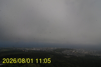 Img20260801_110528.jpg