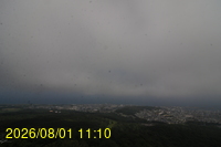 Img20260801_111028.jpg
