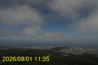 Img20260801_113528.jpg