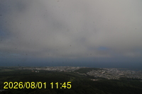 Img20260801_114528.jpg