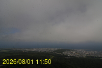 Img20260801_115028.jpg