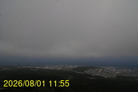 Img20260801_115528.jpg
