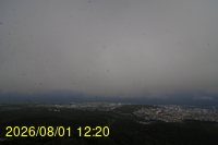 Img20260801_122028.jpg