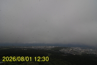 Img20260801_123028.jpg