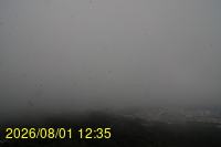 Img20260801_123528.jpg