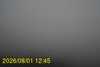 Img20260801_124528.jpg