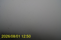 Img20260801_125028.jpg