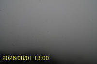 Img20260801_130028.jpg