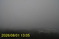 Img20260801_130528.jpg