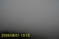 Img20260801_131528.jpg