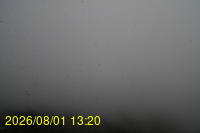 Img20260801_132028.jpg